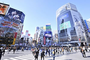 サテライト東京