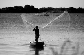 顧客獲得の戦略：漁師の知恵から学び、成功への道を探る