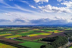 北海道移住ライフ！自然豊かな町でのんびり暮らす